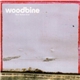 Woodbine - Best Before End