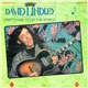 David Lindley - Pretty Girl Rules The World