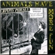 Jimmy Pursey - Animals Have More Fun